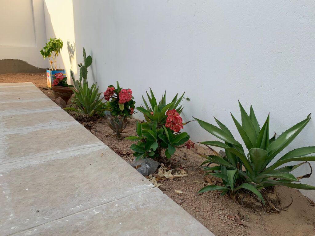 1e5114c5-c8c0-47e7-8b7f-7eed6b117687